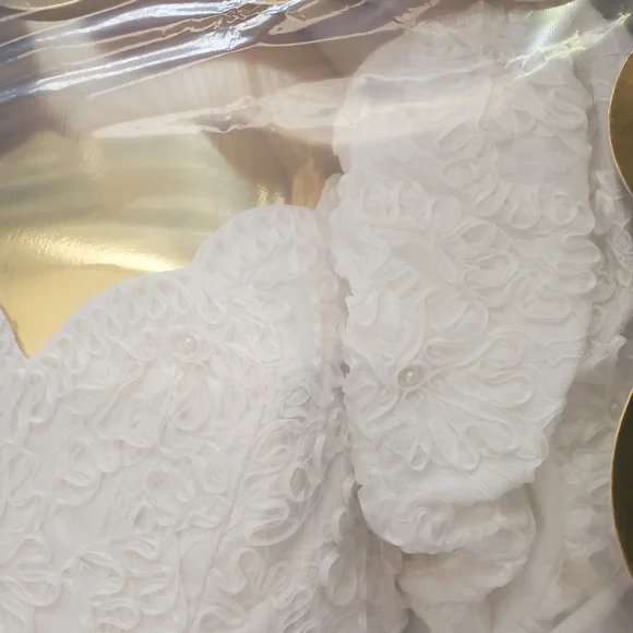 Breathtaking Ballgown Wedding Dress with Long Cathedral Style Veil Vintage